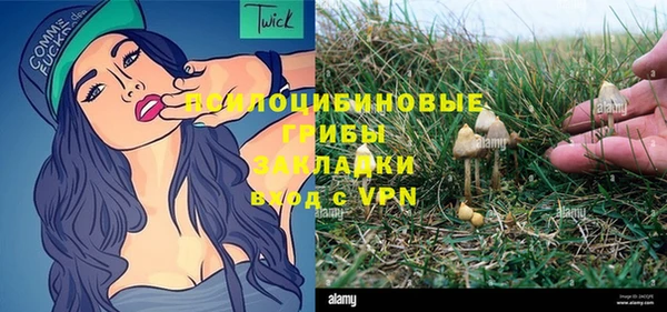 гидропоника Алексеевка