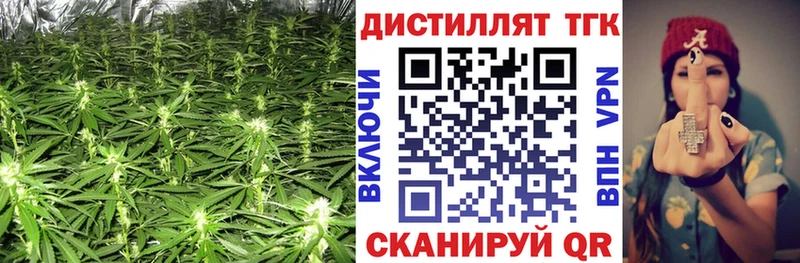 маркетплейс состав  Грайворон  ТГК THC oil  гидра tor 