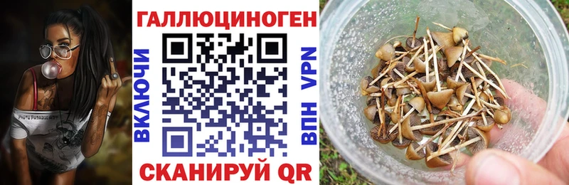 Галлюциногенные грибы Magic Shrooms mega ТОР Грайворон